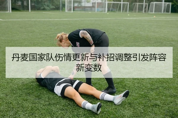丹麦国家队伤情更新与补招调整引发阵容新变数